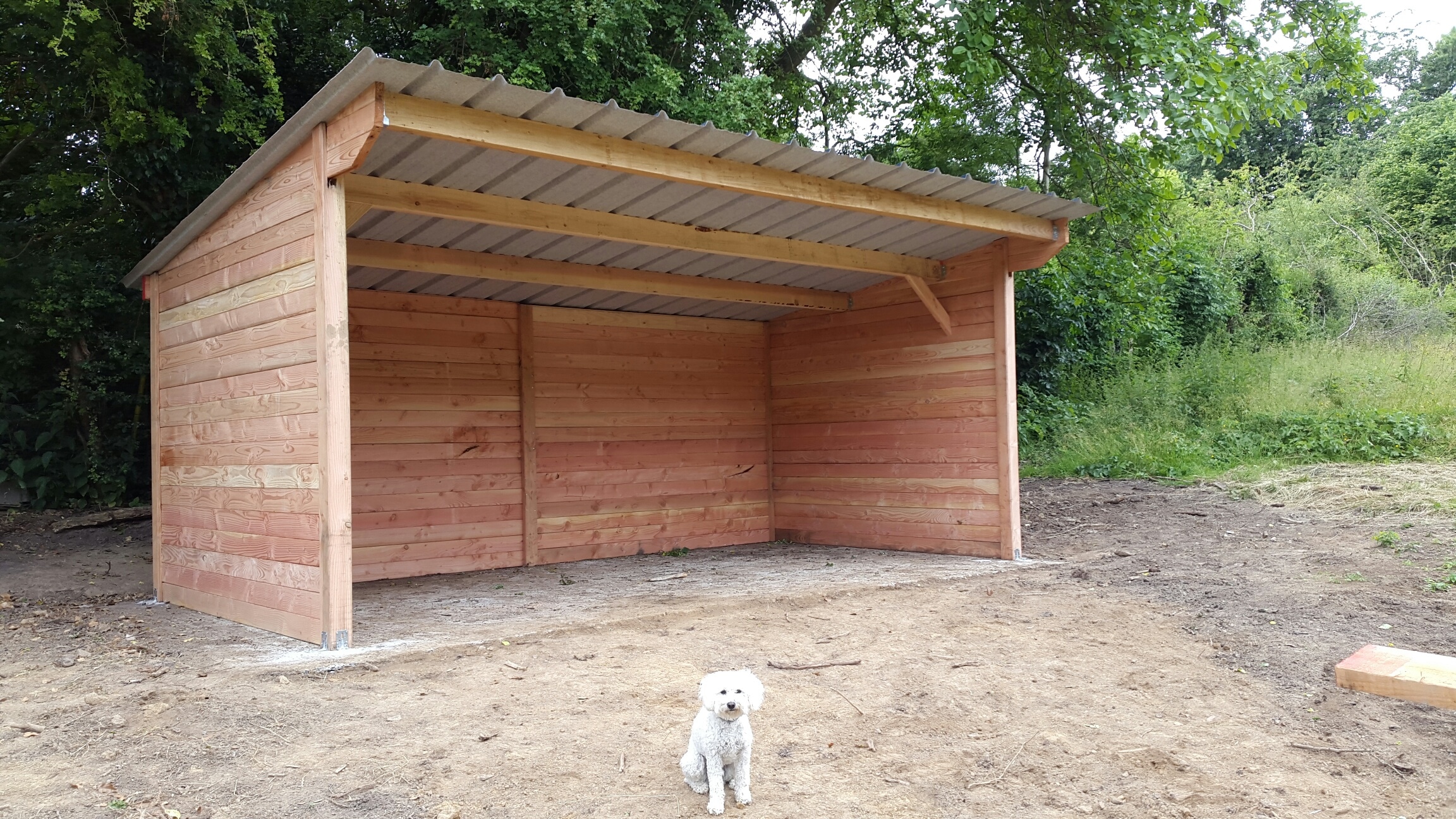 Abri De Prairie 3 X 6 M Bois Douglas LCI Cheval abri-de-prairie-3-x-6-m-bois-douglas-lci-cheval