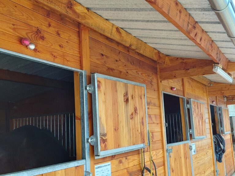 Porte double battants métal galvanisé LCI Cheval