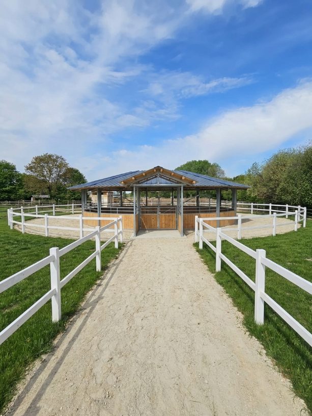Marcheur PRO pour chevaux