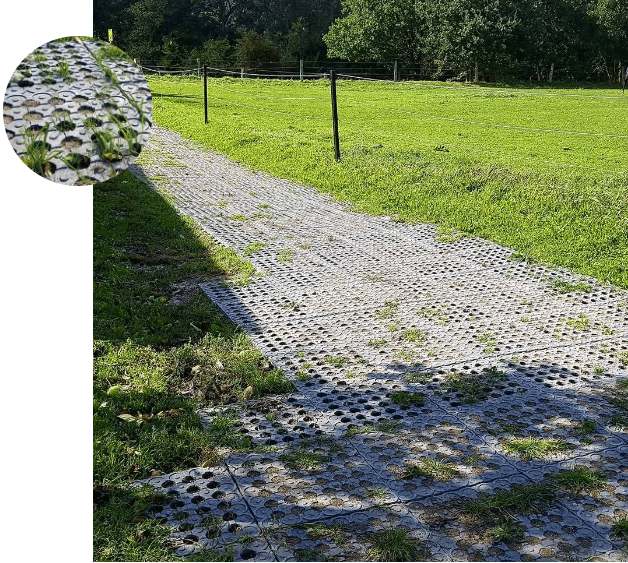 Dalle de stabilisation INB pour paddock et sol équestre – contrôle boue
