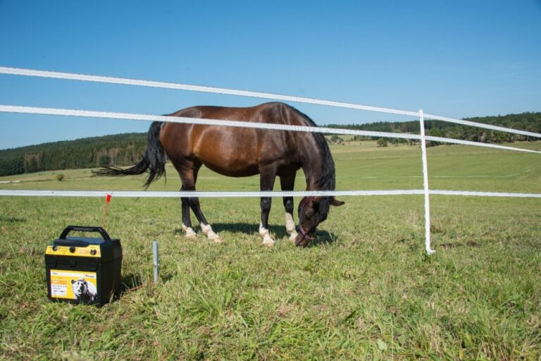 Electrificateur autonome RANGER AN2000 HORIZONT