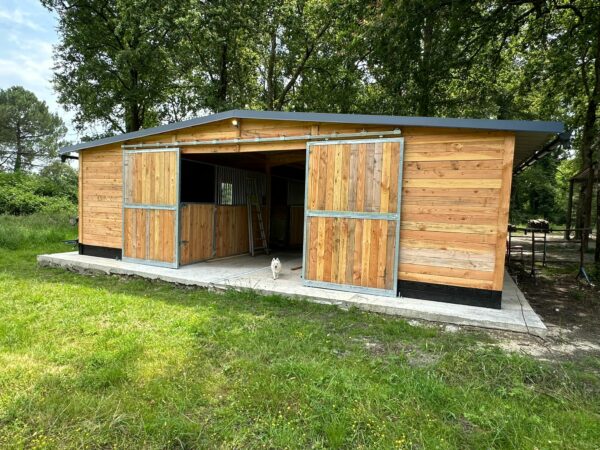 Barns bois Douglas