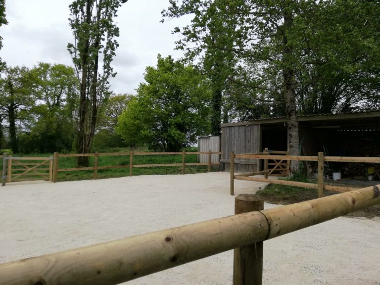 Lice en bois classe IV installée en clôture équestre