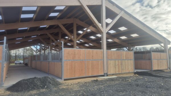 Séparation de box plein en bois Douglas – cloison robuste pour écurie chevaux