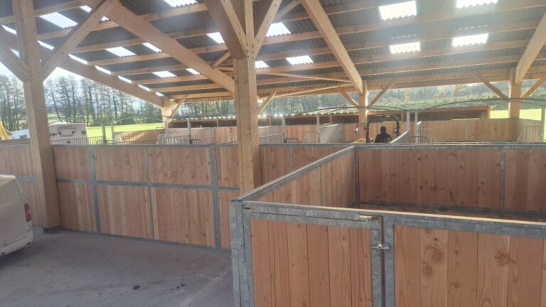 Séparation de box plein en bois Douglas – cloison robuste pour écurie chevaux