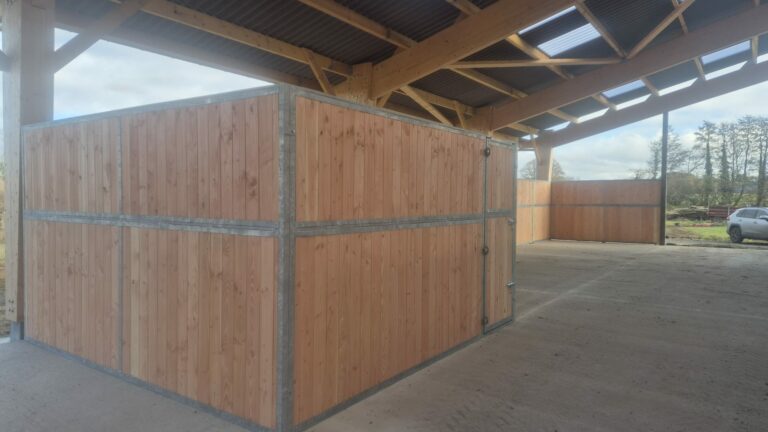 Séparation de box plein en bois Douglas – cloison robuste pour écurie chevaux