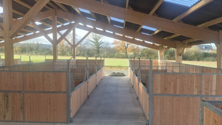 Séparation de box plein en bois Douglas – cloison robuste pour écurie chevaux