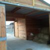 Barns bois Douglas – Image 17