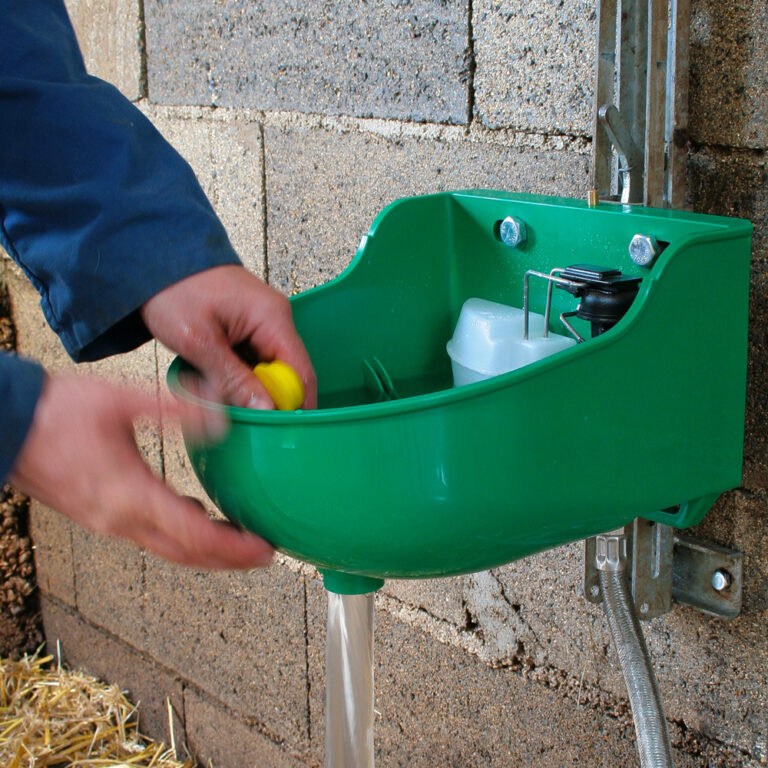 Abreuvoir à niveau constant La buvette