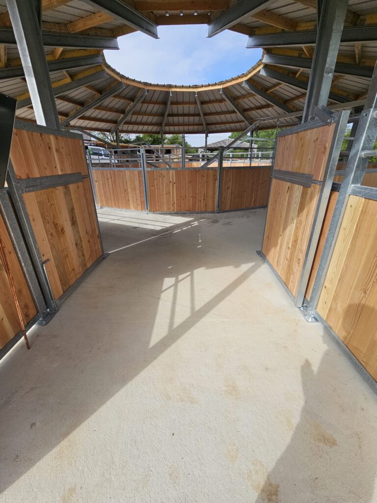 Intérieur d'un marcheur pour chevaux couvert