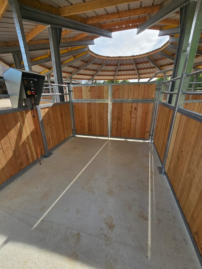 Intérieur d'un marcheur pour chevaux couvert