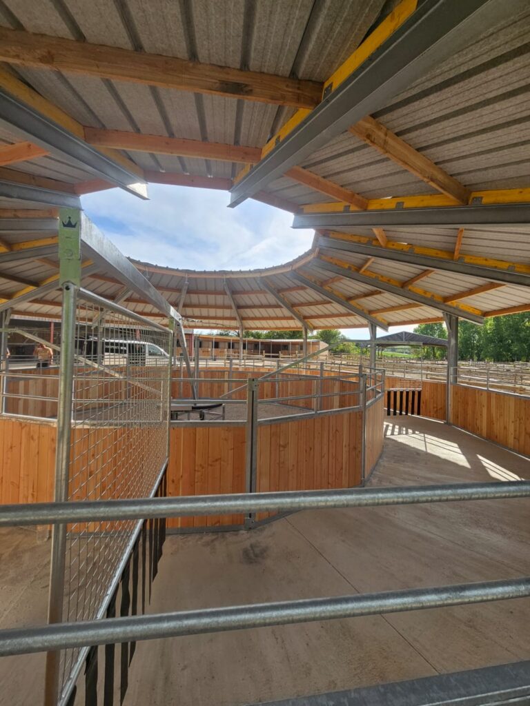 Intérieur d'un marcheur pour chevaux couvert
