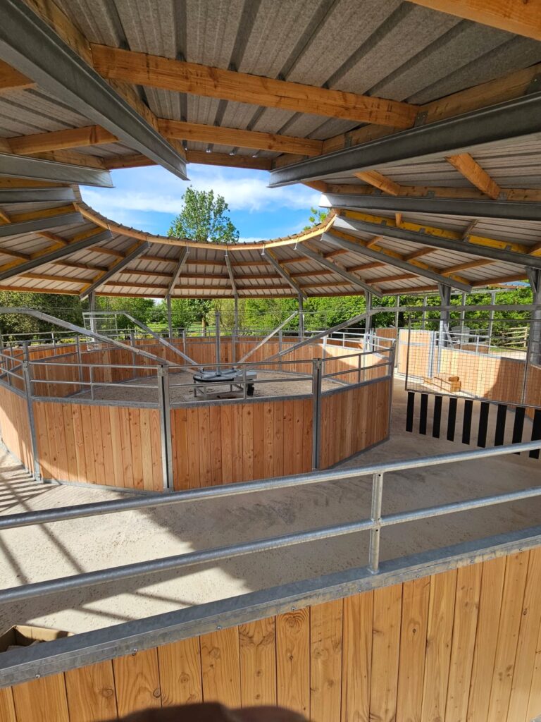 Intérieur d'un marcheur pour chevaux couvert