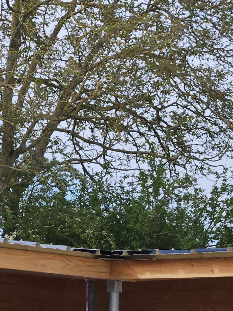 Détail de toiture d'un marcheur PRO couvert pour chevaux