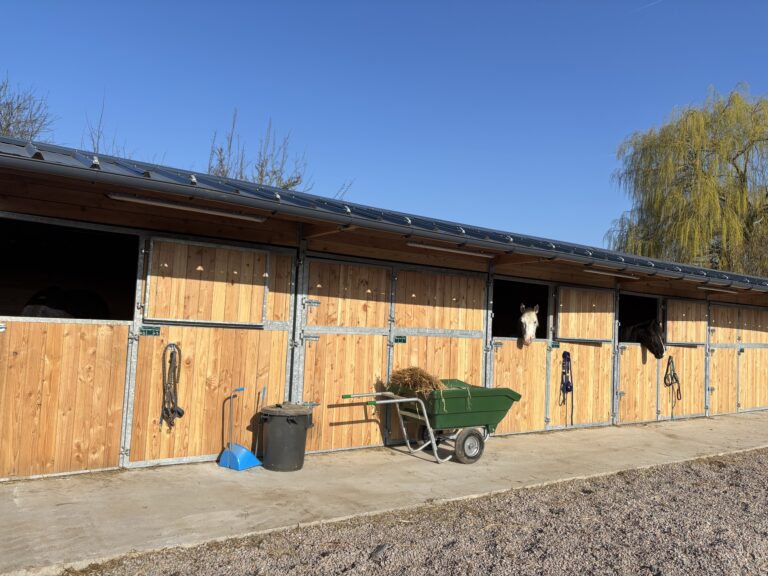 Boxes à ouvertures intégrales pour chevaux