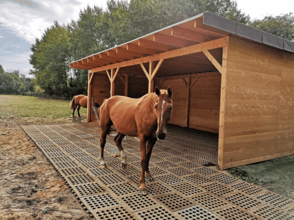 Dalle de stabilisation INB pour paddock et sol équestre – contrôle boue
