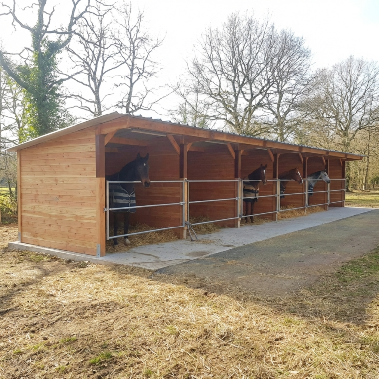 Abri de stabulation box individuel pour chevaux