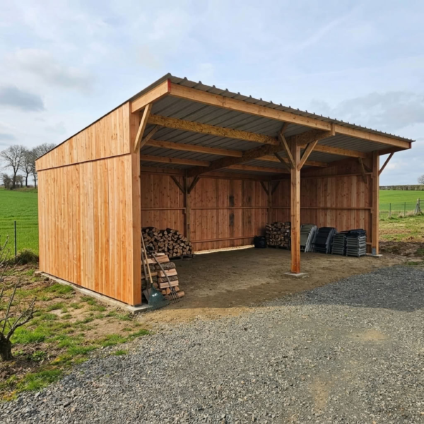 Abri de stockage en bois Douglas