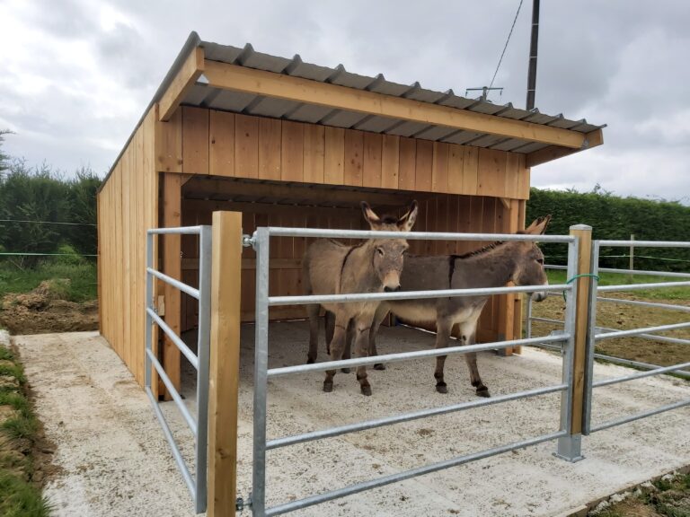 Abri d'hiver type terrasse pour chevaux