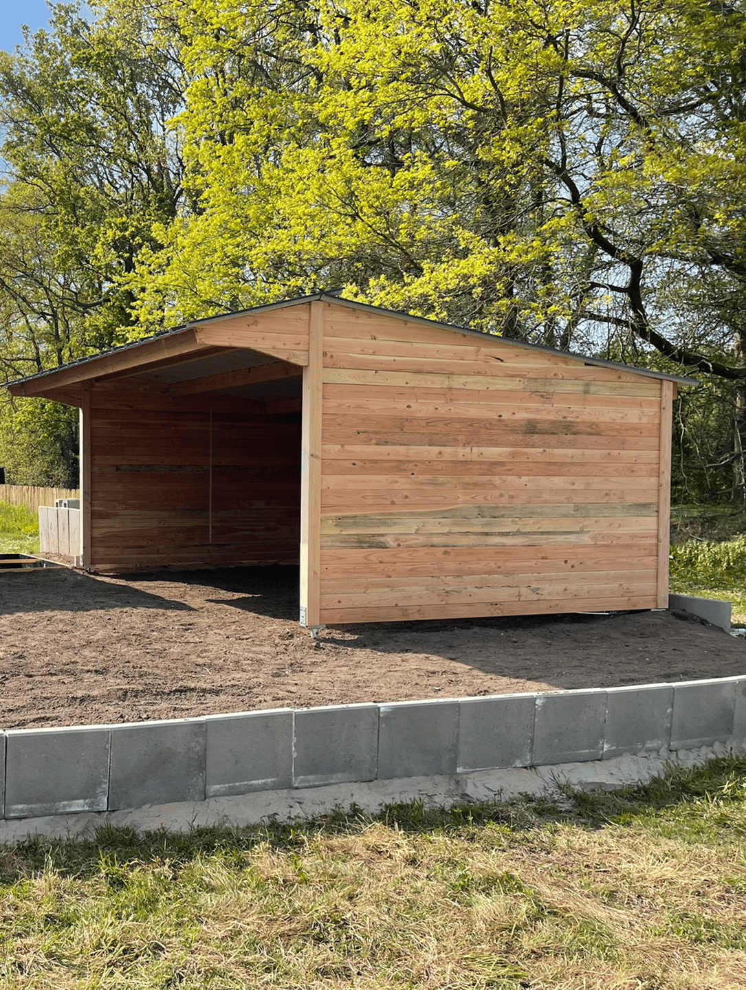 Cabane de jardin en bois Douglas - LCI Cheval