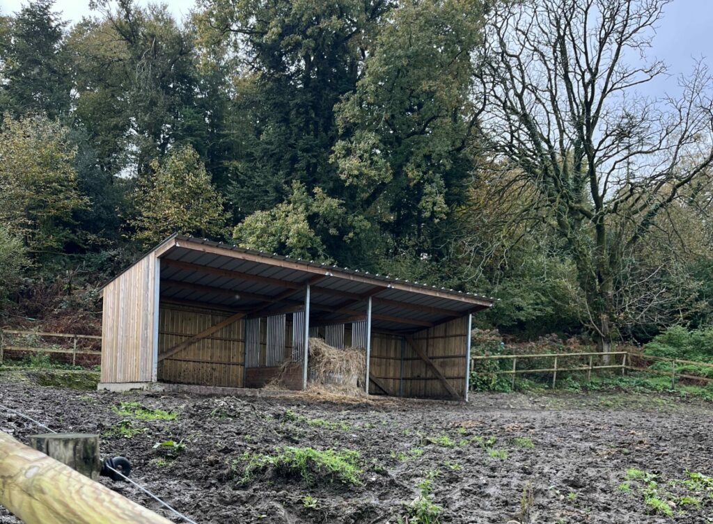 Abri avec râtelier centrale pas cher pour chevaux