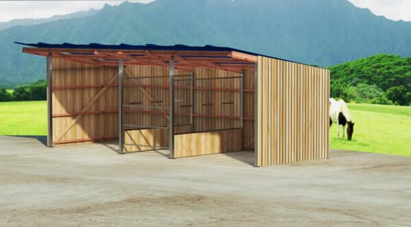 Abri 3 x 10 ECO avec râtelier central – Image 2