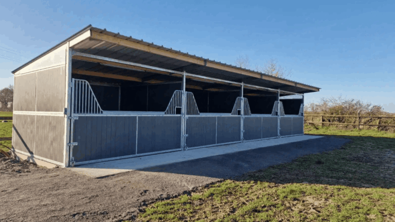article-equipements-equestres