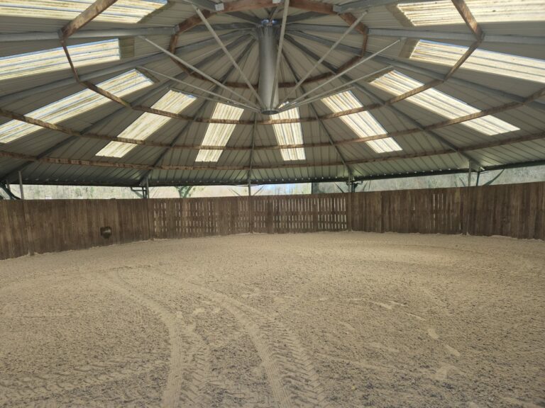 Rond de longe couvert version loisir – structure légère pour usage équestre