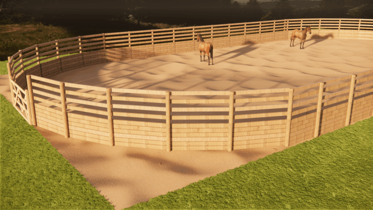 Rond de longe pour cheval en extérieur