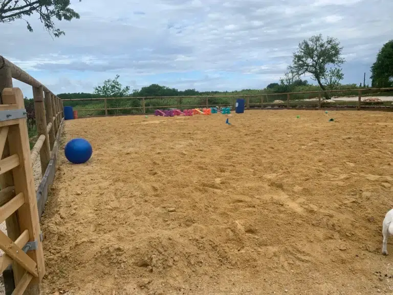 Bordure en bois Douglas pour manège chevaux
