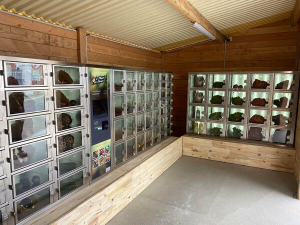 Local libre-service en bois Douglas et métal