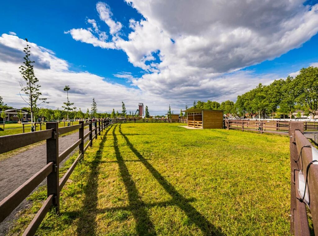 Clôture d’enclos LCI Cheval installée pour enclos extérieur