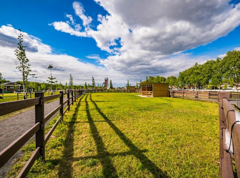 Clôture d’enclos LCI Cheval installée pour enclos extérieur