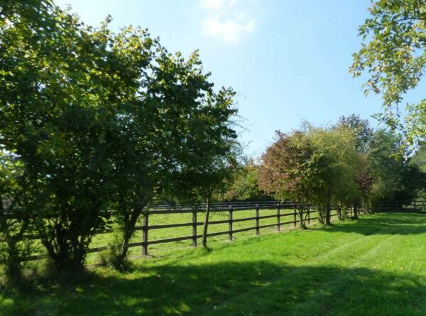 Clôture d’enclos LCI Cheval installée pour enclos extérieur