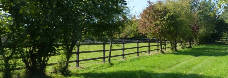 Clôture d’enclos LCI Cheval installée pour enclos extérieur