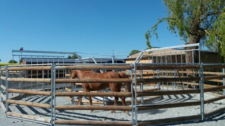 Marcheur Loisir non couvert diamètre 14 ou 16 m LCI Cheval