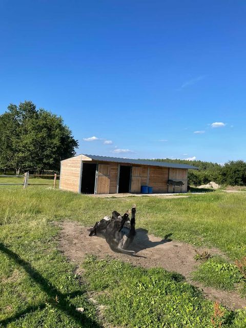 Boxes sur-mesure pour parcs animaliers