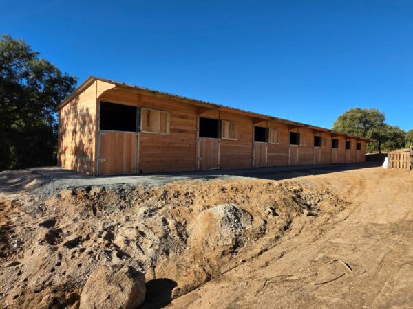 Ligne de 8 boxes chevaux en bois Douglas LCI Cheval