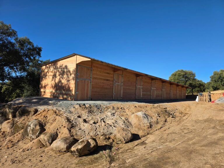 Ligne de 8 boxes chevaux en bois Douglas LCI Cheval