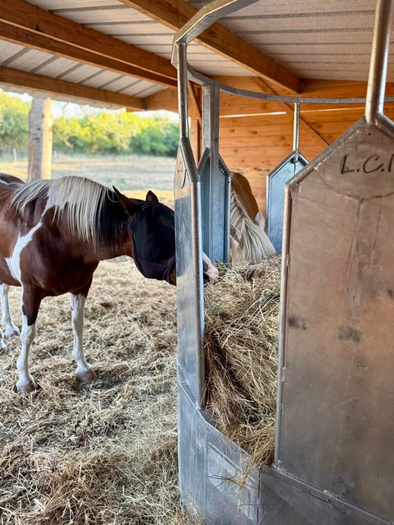 Abri pour chevaux avec râtelier central circulaire