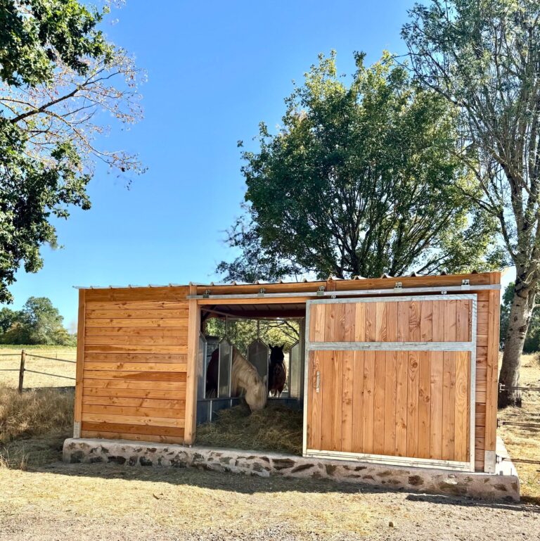 Abri pour chevaux avec râtelier central circulaire