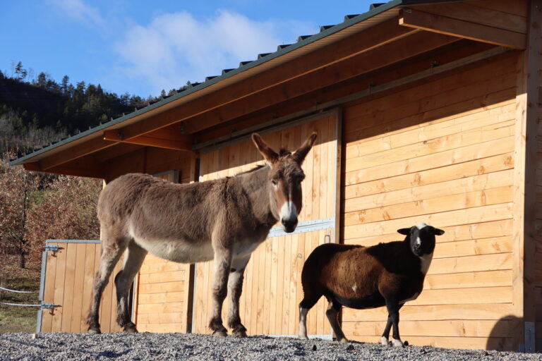 Abri ferme pédagogique sur-mesure en bois Douglas