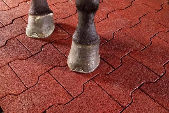 Détail surface lisse pavé autobloquant en H