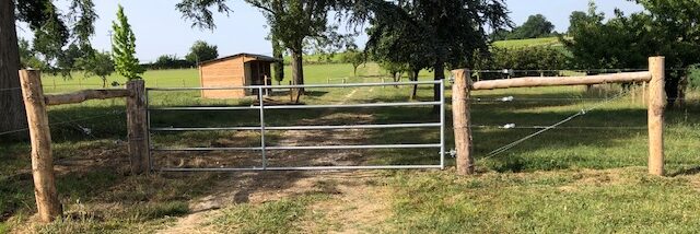 Les 7 erreurs à éviter lors de l’installation d’une clôture pour chevaux