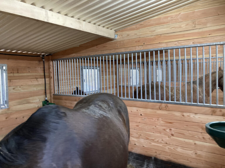Détail intérieur de box pour chevaux